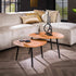 Salontafel Organic driehoekig set/2