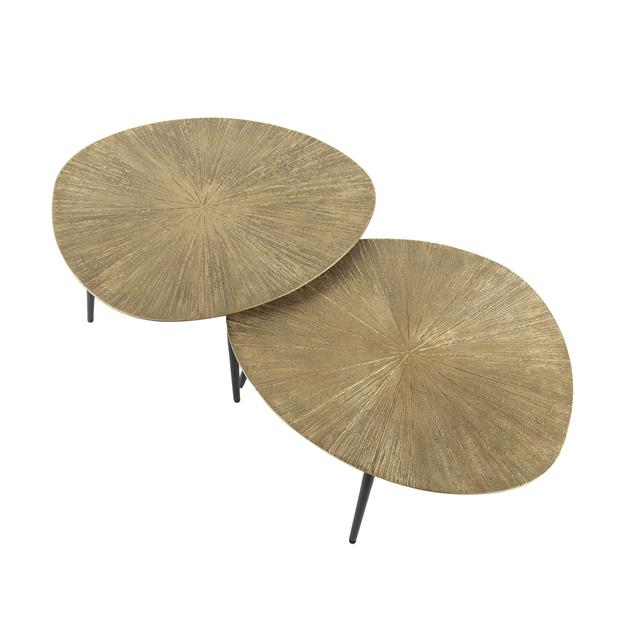 Salontafel Ray organisch set/2