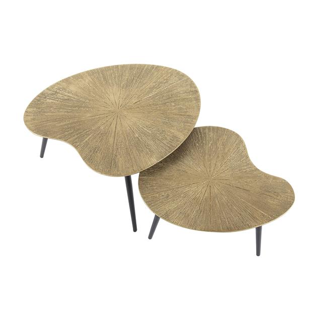 Salontafel Ray niervormig set/2