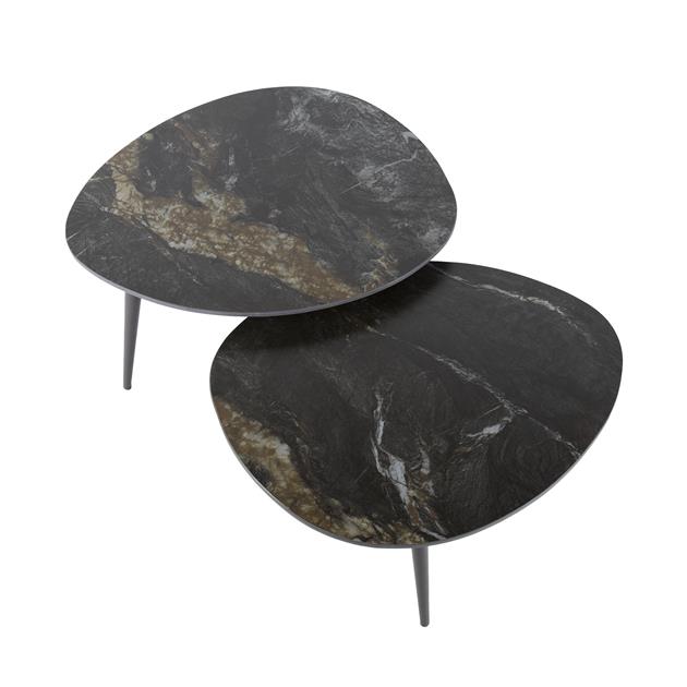 Salontafel Fossil organisch set/2