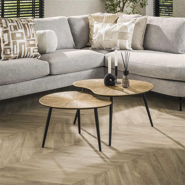 Organische Salontafelset van 2 Ray