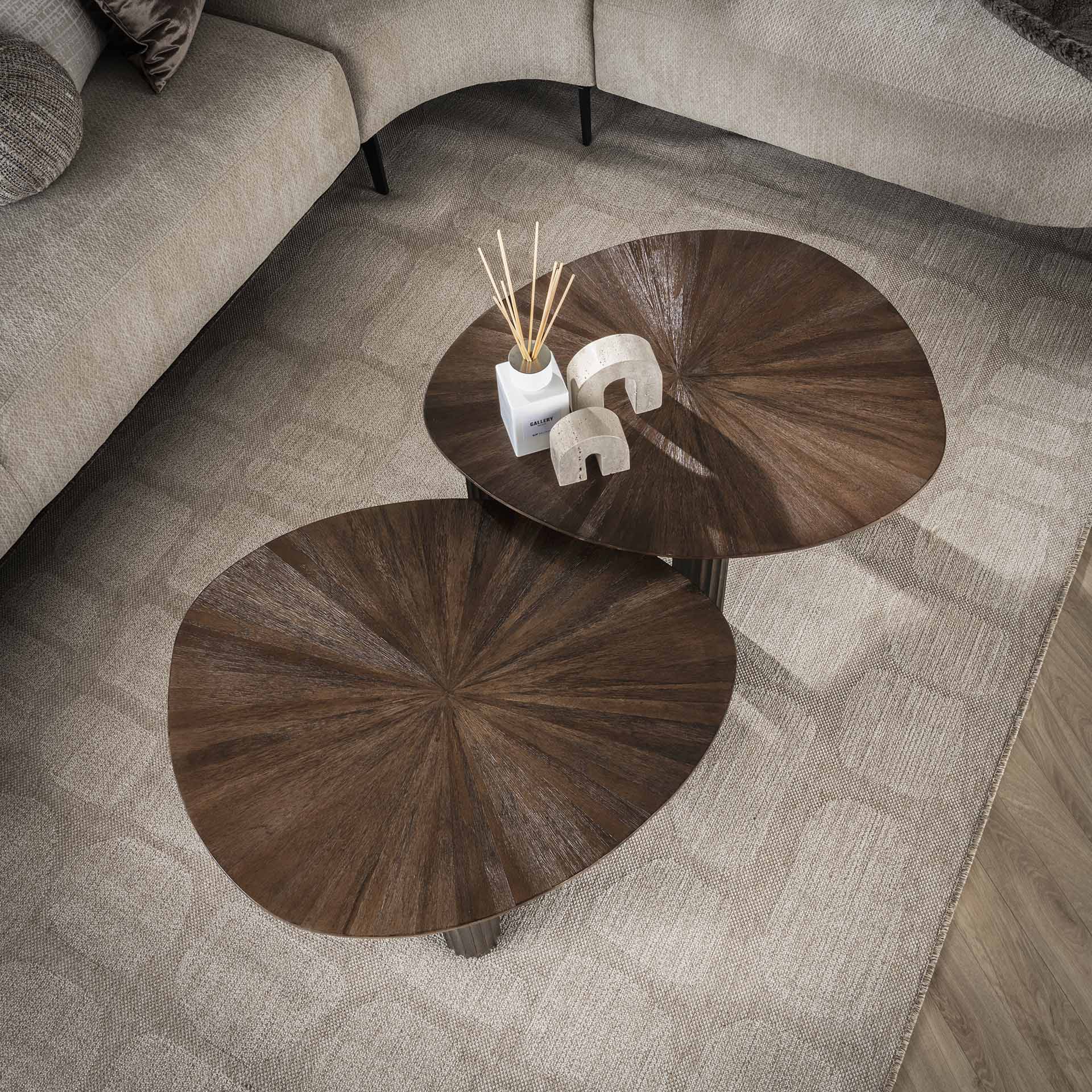 Organische salontafelset van 2 Mia M