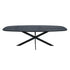 Eiken eettafel Ferris | Deens Ovaal 240 cm | Zwart - Industrieelinhuis.nl