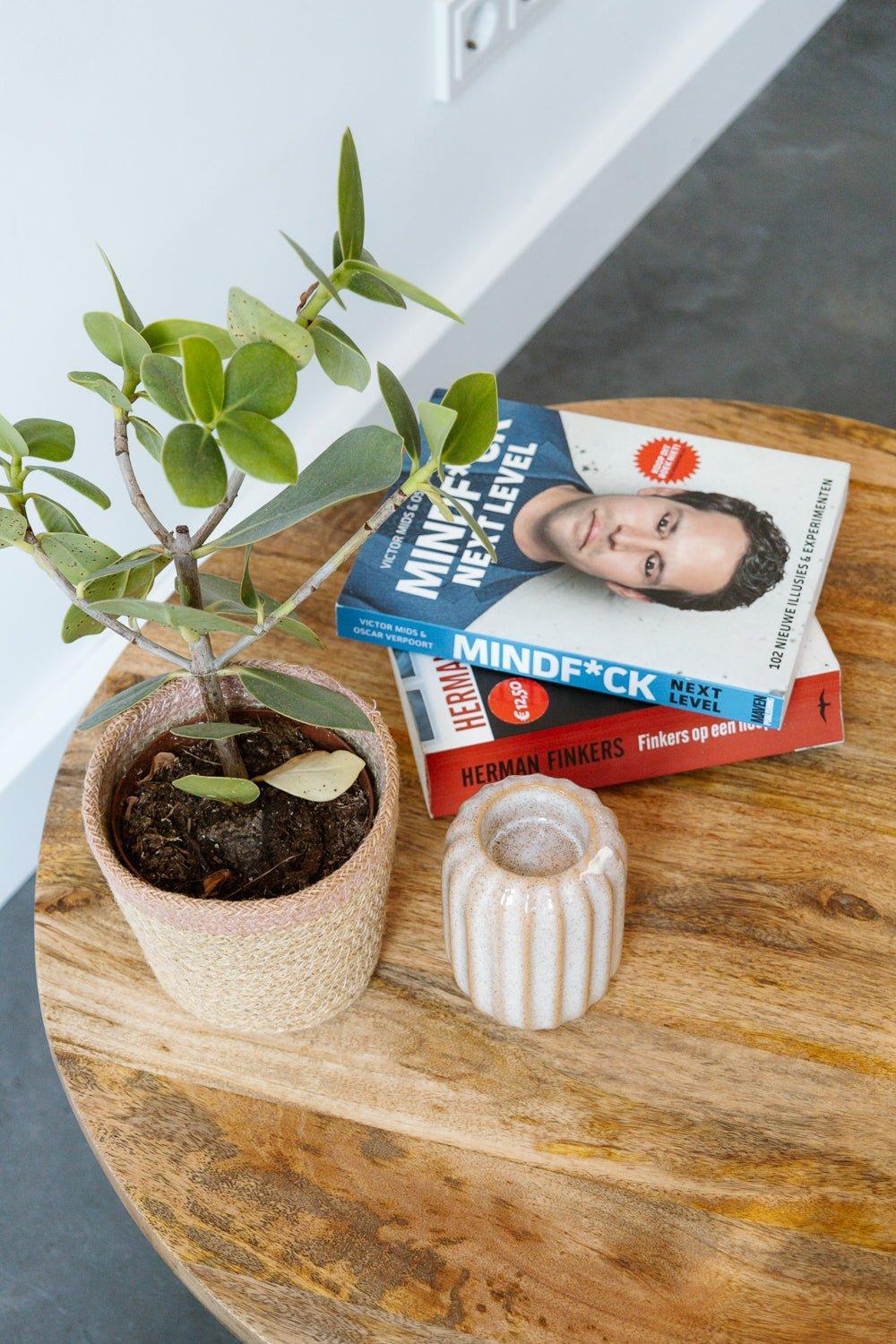 Salontafel Rond Industrieel Design | Mangohout en Staal | 65x34cm