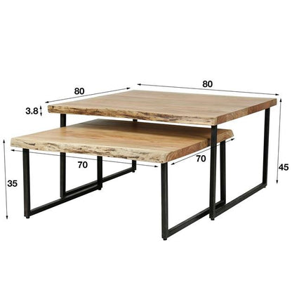 Salontafel set van 2 Eddie - Industrieelinhuis.nl