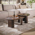 Salontafel Empera niervormig set/2