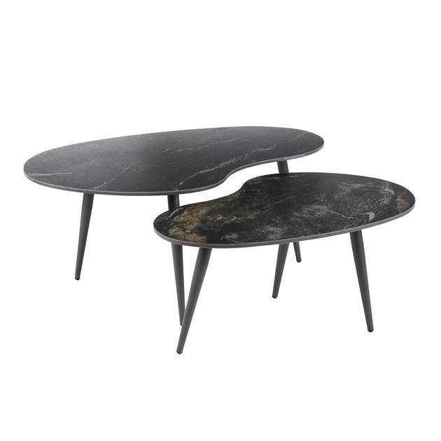 Salontafel Fossil niervormig set/2