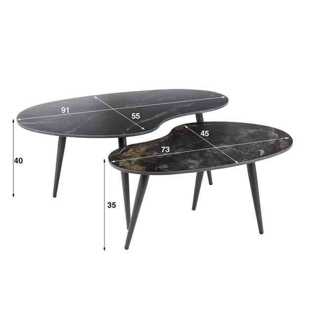 Salontafel Fossil niervormig set/2