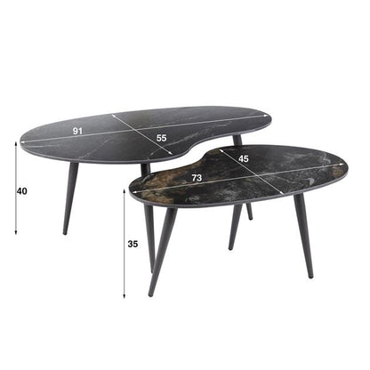 Salontafel Fossil niervormig set/2