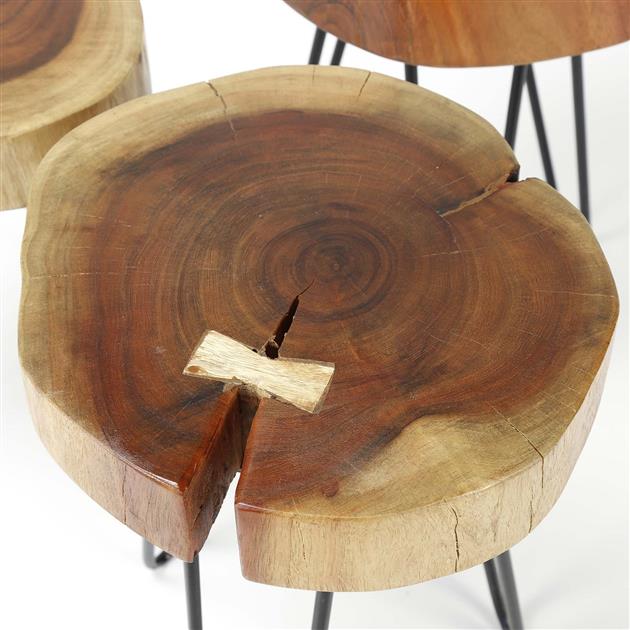 Bijzettafelset Rond Boomstam (2 stuks)