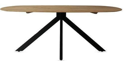 Deens Ovaal 200 cm mangohout en staal