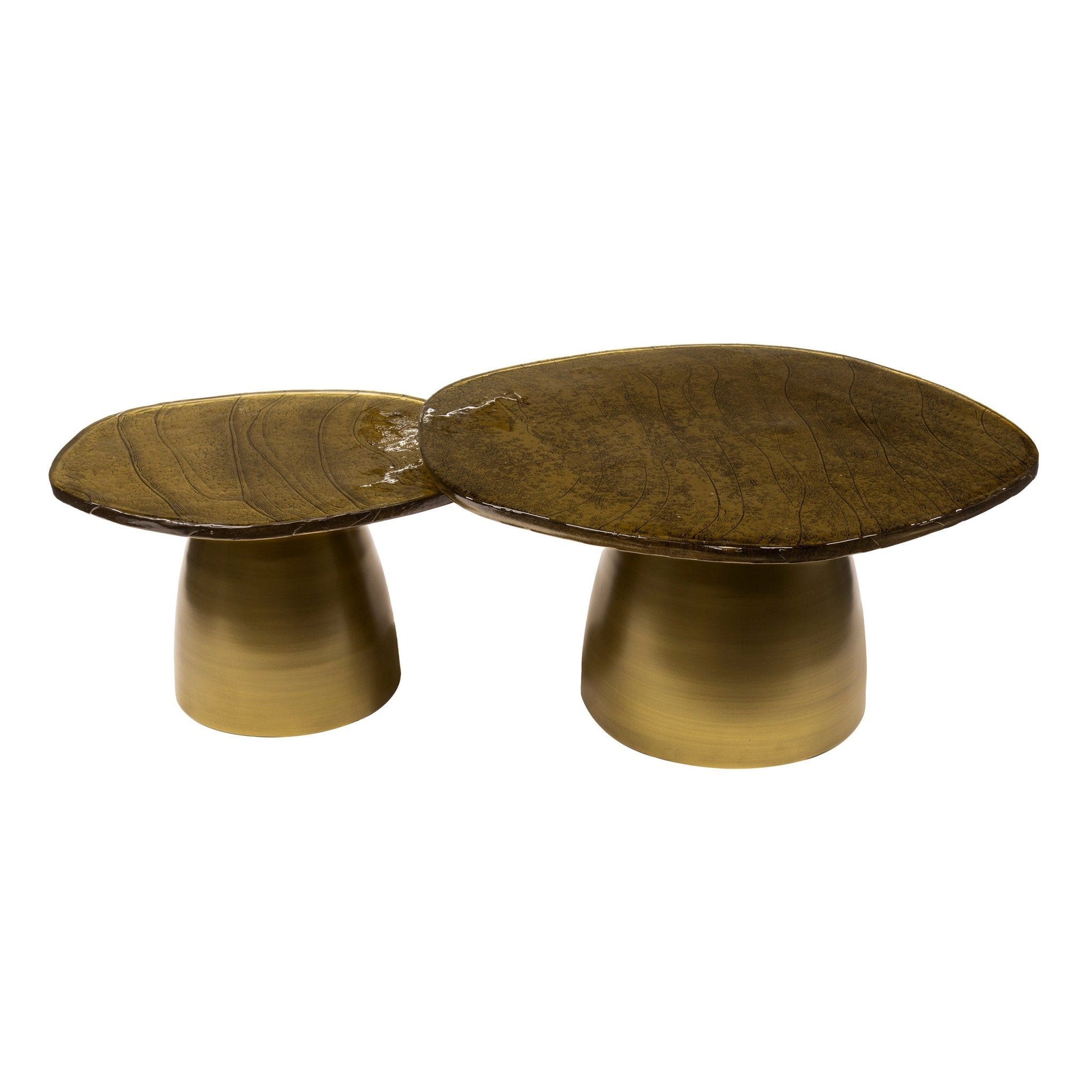 Organische Salontafel set van 2 Astra | Goud met zwart |