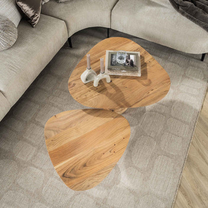 Organische salontafel set van 2 | voet van hout