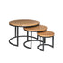 Ronde Salontafel set van 3 Dakota | Zwart onderstel | Mangohout blad