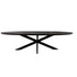 Zwarte Eettafel Ovaal Brandy 210 cm - Industrieelinhuis.nl