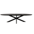 Zwarte Eettafel Ovaal Brandy 240 cm - Industrieelinhuis.nl