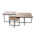 Salontafel Joelle | Set van 3 - Industrieelinhuis.nl