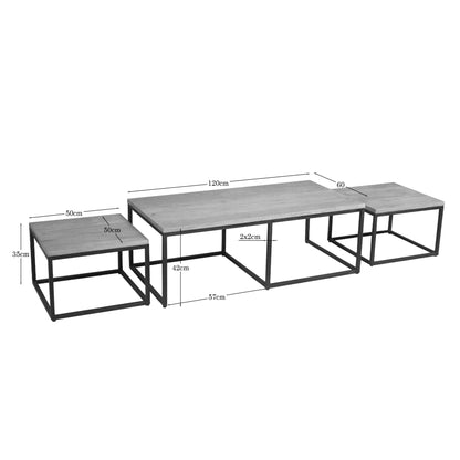 Salontafel Dakota | 120 cm | Set van 3 - Industrieelinhuis.nl