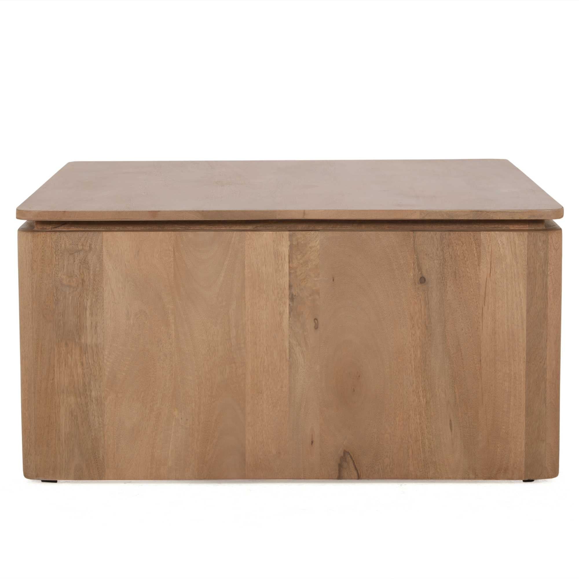 Vierkante Salontafel Dallas Naturel Mangohout 80 cm - Industrieelinhuis.nl