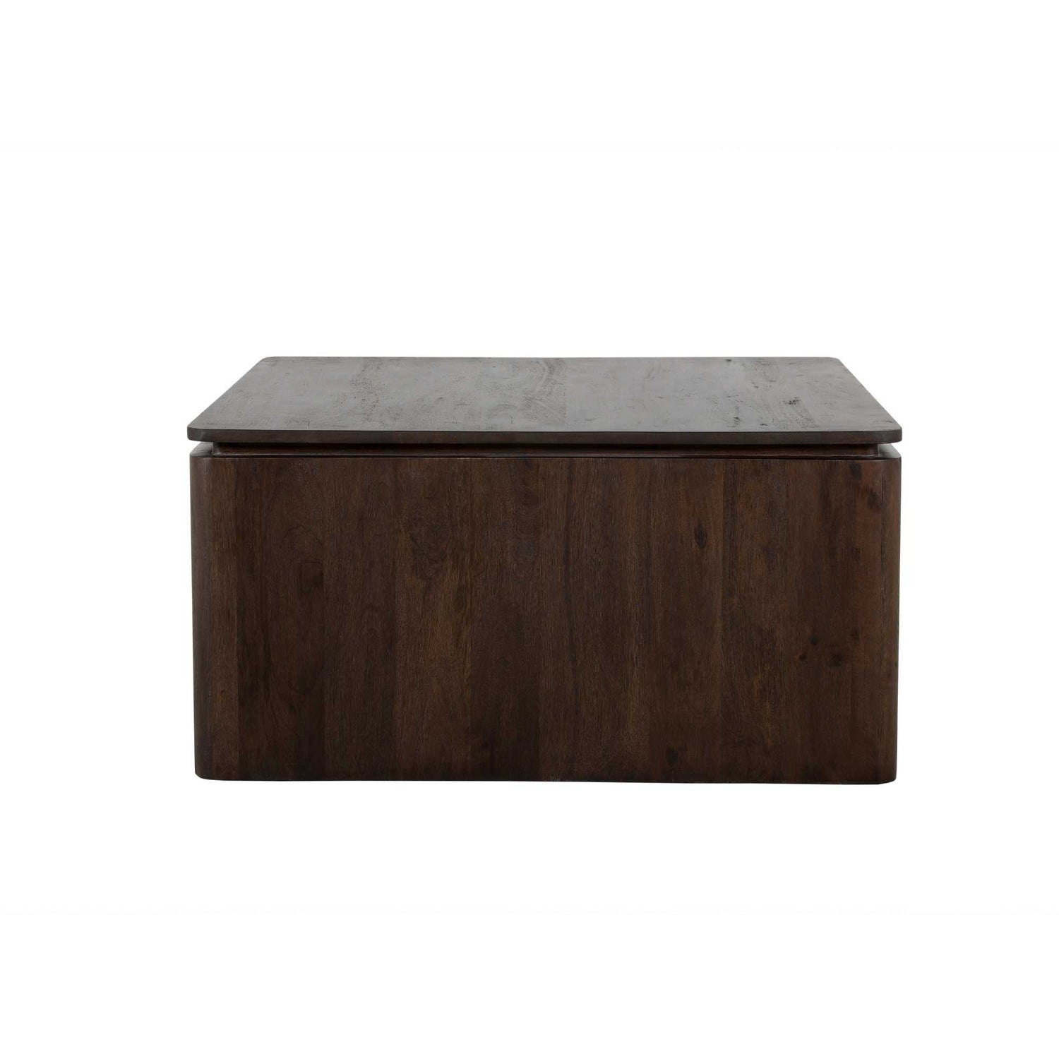 Vierkante Salontafel Dallas Bruin Mangohout 80 cm - Industrieelinhuis.nl