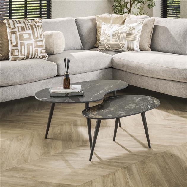 Salontafel set van 2 Fossil | Organische Salontafels