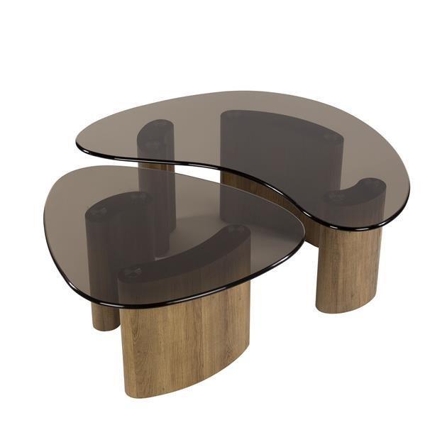 Salontafel set van 2 Tinto | Organische salontafels