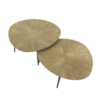 Salontafelset van 2 Goud Ray | Organische Salontafels