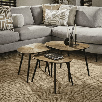 Salontafelset van 3 Ray vierhoekig | Organische Salontafels