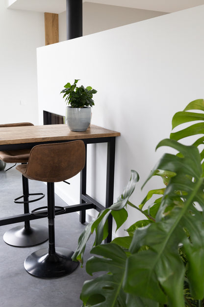 Bartafel Industrieel | Boomstam bartafels | 135x65x105cm