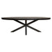 Eetkamertafel Denver Black | Ovaal | 300 cm - Industrieelinhuis.nl